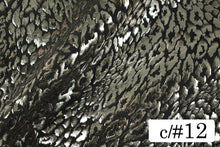 画像をギャラリービューアに読み込む, CS1031 2WAYジュラシックフォーム 12