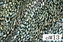 画像をギャラリービューアに読み込む, CS1031E 2WAYジュラシックフォーム 13