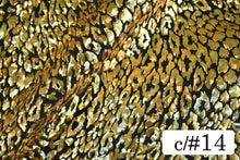 画像をギャラリービューアに読み込む, CS1031E 2WAYジュラシックフォーム 14