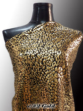 画像をギャラリービューアに読み込む, CS1031 2WAYジュラシックフォーム 6