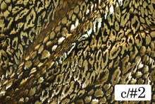 画像をギャラリービューアに読み込む, CS1031 2WAYジュラシックフォーム 2