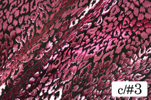 画像をギャラリービューアに読み込む, CS1031 2WAYジュラシックフォーム 3