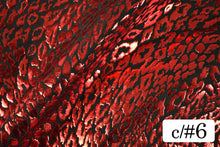 画像をギャラリービューアに読み込む, CS1031 2WAYジュラシックフォーム 6