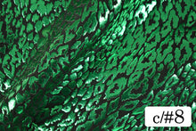 画像をギャラリービューアに読み込む, CS1031 2WAYジュラシックフォーム 8