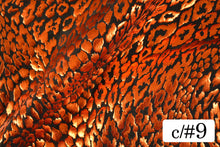 画像をギャラリービューアに読み込む, CS1031 2WAYジュラシックフォーム 9