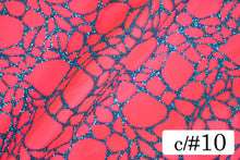 画像をギャラリービューアに読み込む, CS1036 トラップネット 10