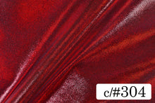 画像をギャラリービューアに読み込む, CS1041E ミスティーサンド 304