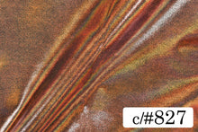 画像をギャラリービューアに読み込む, CS1041B ミスティーサンド 827