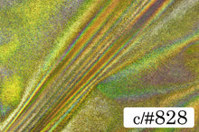 画像をギャラリービューアに読み込む, CS1041B ミスティーサンド 828