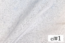 画像をギャラリービューアに読み込む, CS1046 アメリアライド 1