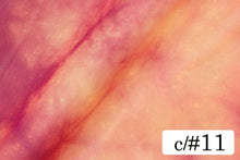 画像をギャラリービューアに読み込む, CS1051 タイダイパワーネット 11