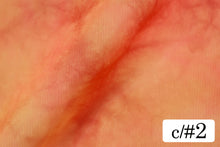 画像をギャラリービューアに読み込む, CS1051 タイダイパワーネット 2