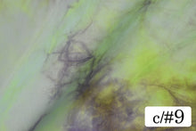 画像をギャラリービューアに読み込む, CS1051 タイダイパワーネット 9