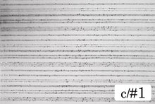 画像をギャラリービューアに読み込む, CS1079 プロロンガール 1