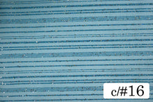 画像をギャラリービューアに読み込む, CS1079 プロロンガール 16