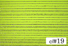 画像をギャラリービューアに読み込む, CS1079 プロロンガール 19