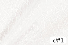 画像をギャラリービューアに読み込む, CS1125 カンタロープ 1