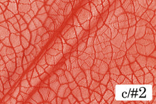 画像をギャラリービューアに読み込む, CS1125 カンタロープ 2