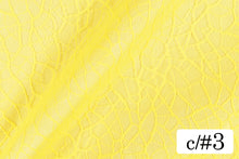 画像をギャラリービューアに読み込む, CS1125 カンタロープ 3