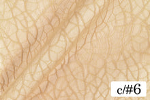 画像をギャラリービューアに読み込む, CS1125 カンタロープ 6