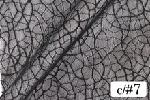 画像をギャラリービューアに読み込む, CS1125 カンタロープ 7