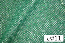 画像をギャラリービューアに読み込む, CS1145 ジオメッシュ 11