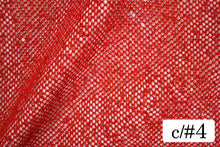 画像をギャラリービューアに読み込む, CS1145 ジオメッシュ 4