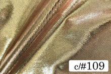 画像をギャラリービューアに読み込む, CS1154 ミスティーシャンブレー 109