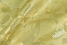 画像をギャラリービューアに読み込む, CS1162 シュガープラムオーブ 11