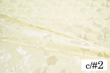 画像をギャラリービューアに読み込む, CS1162 シュガープラムオーブ 2