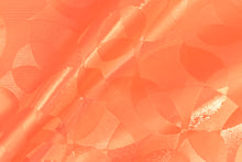 画像をギャラリービューアに読み込む, CS1162 シュガープラムオーブ 5