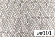 画像をギャラリービューアに読み込む, CS1164 マスクル 101