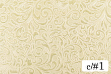 画像をギャラリービューアに読み込む, CS1165 マルティニック 1