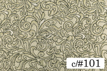 画像をギャラリービューアに読み込む, CS1165 マルティニック 101