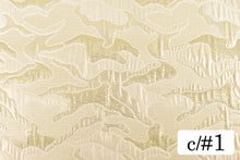 画像をギャラリービューアに読み込む, CS1166 ブローデン 1