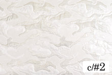 画像をギャラリービューアに読み込む, CS1166 ブローデン 2