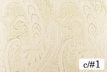 画像をギャラリービューアに読み込む, CS1168 テンタクル 1