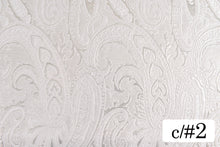 画像をギャラリービューアに読み込む, CS1168 テンタクル 2