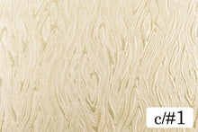 画像をギャラリービューアに読み込む, CS1169 フレイム 1