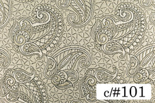 画像をギャラリービューアに読み込む, CS1170 ピメント 101