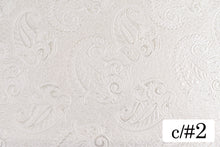 画像をギャラリービューアに読み込む, CS1170 ピメント 2