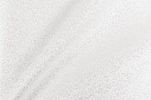 画像をギャラリービューアに読み込む, CS1171 オレオール 1