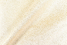 画像をギャラリービューアに読み込む, CS1171 オレオール 2