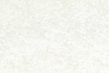 画像をギャラリービューアに読み込む, CS1172 グラソン 1