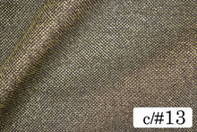 画像をギャラリービューアに読み込む, CS1178 ティアニーラメチュール 13