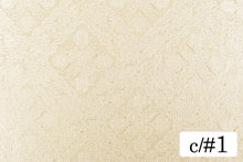 画像をギャラリービューアに読み込む, CS1181 パトラ 1