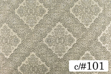 画像をギャラリービューアに読み込む, CS1181 パトラ 101