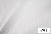 画像をギャラリービューアに読み込む, CS1190 イリーナオーガンジー 1