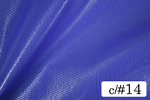 画像をギャラリービューアに読み込む, CS1190 イリーナオーガンジー 14