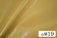 画像をギャラリービューアに読み込む, CS1190 イリーナオーガンジー 19